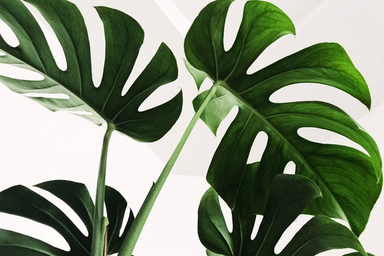 5 sustainable and ethical brands you need in your life in 2020