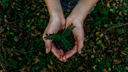 8 sustainable tips for you and your home with h-earth