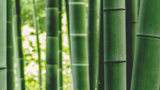 Our beautiful bamboo fleece