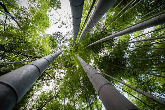 Our Sustainability Pledge For The Decade