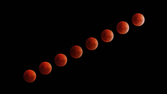 Why you should be practicing Lunar and Solar Yoga (By Tara Lee)