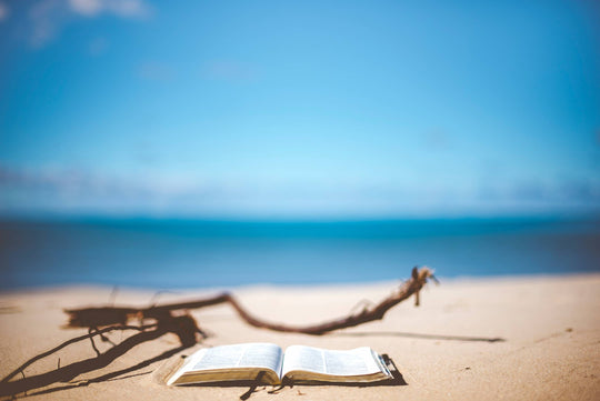 The Asquith Book Club : Winter Sun Reading - Fiction
