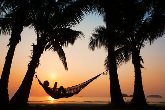 The Asquith Book Club : Winter Sun Reading - Non Fiction